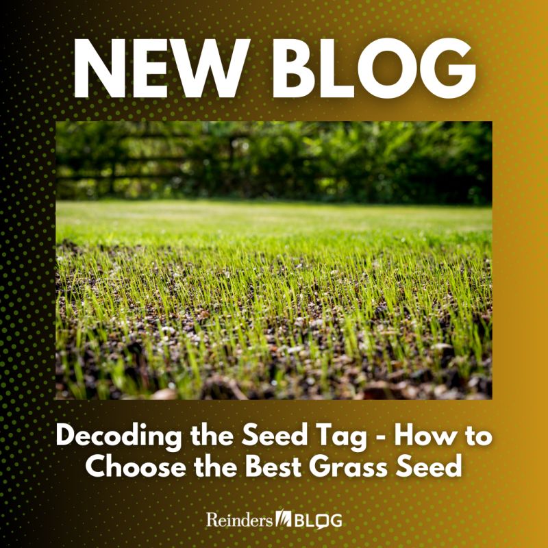 Reinders, Inc. on LinkedIn: Understanding the elements found on a grass  seed tag is crucial in…