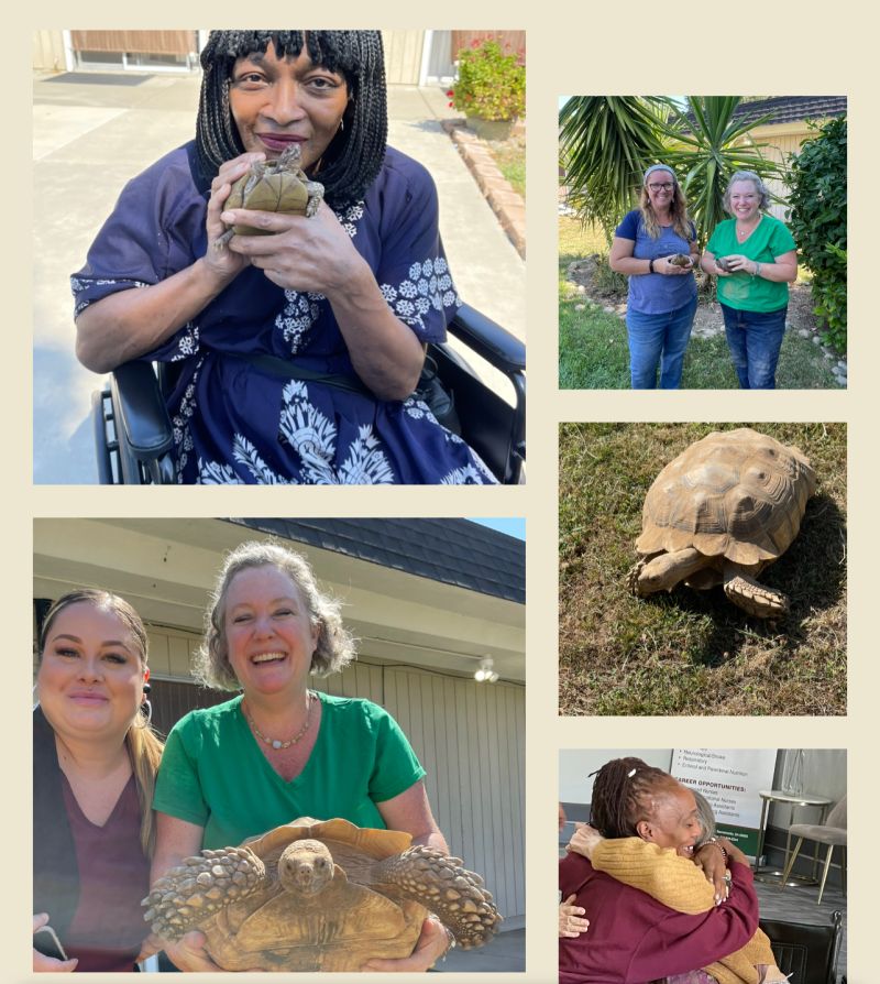 Asbury Park Nursing Rehabilitation Center on LinkedIn: #animaltherapy Asbury Park Nursing Rehabilitation Center on LinkedIn: #animaltherapy