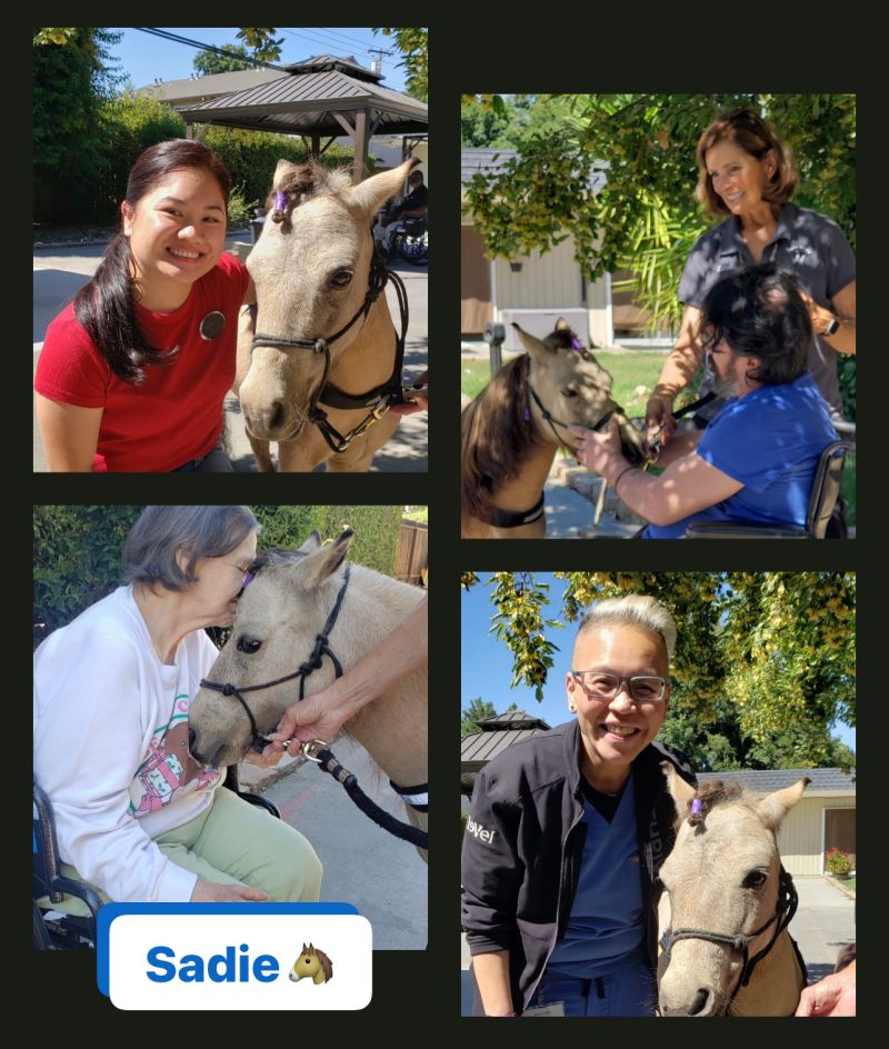 Asbury Park Nursing Rehabilitation Center on LinkedIn: #pettherapy # Asbury Park Nursing Rehabilitation Center on LinkedIn: #pettherapy #