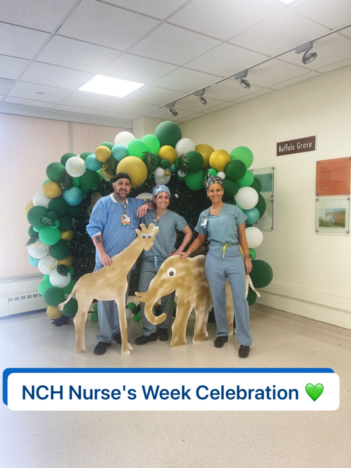 Nicole McCall MSN, RN on LinkedIn: NCH NorthShore Nurse’s Week ...