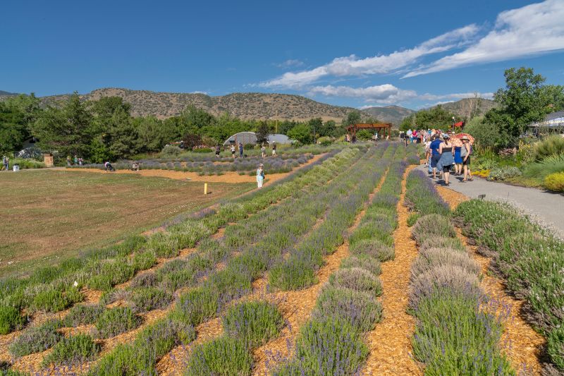 Denver Botanic Gardens on LinkedIn: WE #39 RE HIRING Events Assistant at Denver Botanic Gardens on LinkedIn: WE #39 RE HIRING Events Assistant at