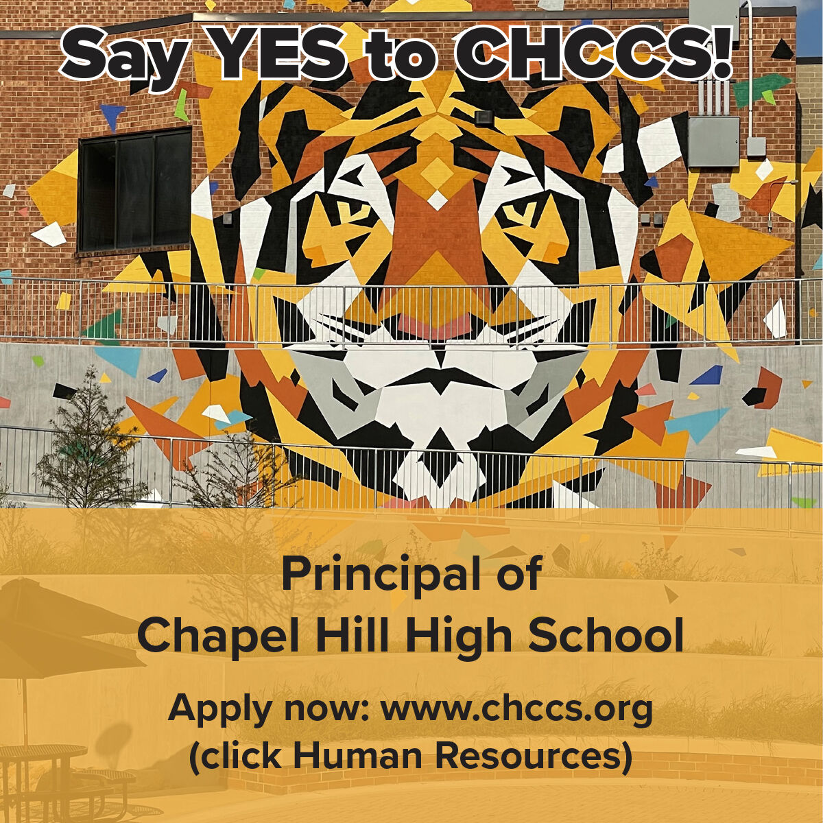 Chapel Hill Carrboro City Schools on LinkedIn: We re 🕵️ for the next Chapel Hill Carrboro City Schools on LinkedIn: We re 🕵️ for the next