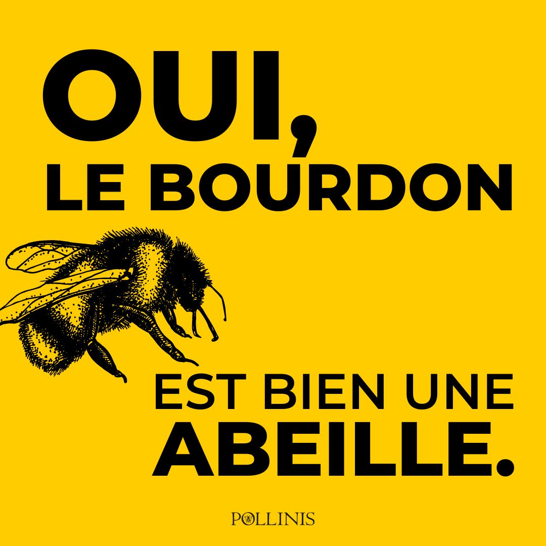 Luc Bourdon posted on LinkedIn
