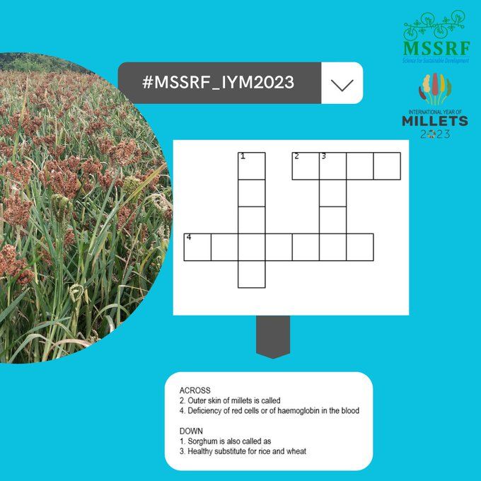 MS Swaminathan Research Foundation on LinkedIn: #millets #mssrf iym2023 MS Swaminathan Research Foundation on LinkedIn: #millets #mssrf iym2023