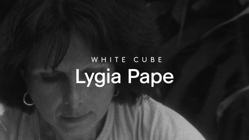 Georgia Messervy on LinkedIn: In Focus: Lygia Pape ‘Ttéias’ | White Cube