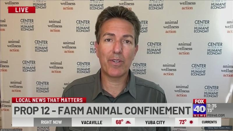 Wayne Pacelle on LinkedIn: Supreme Court ends long fight over Prop 12 Wayne Pacelle on LinkedIn: Supreme Court ends long fight over Prop 12