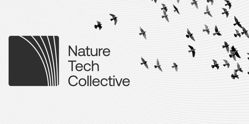 Harmony in Innovation: Exploring the Nature Tech Collective’s Fusion of Technology