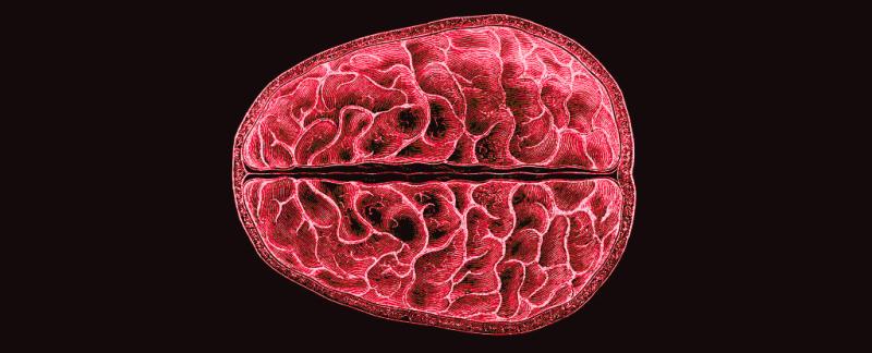 How menstruation affects brain structures, Esther J. Lim posted on the  topic