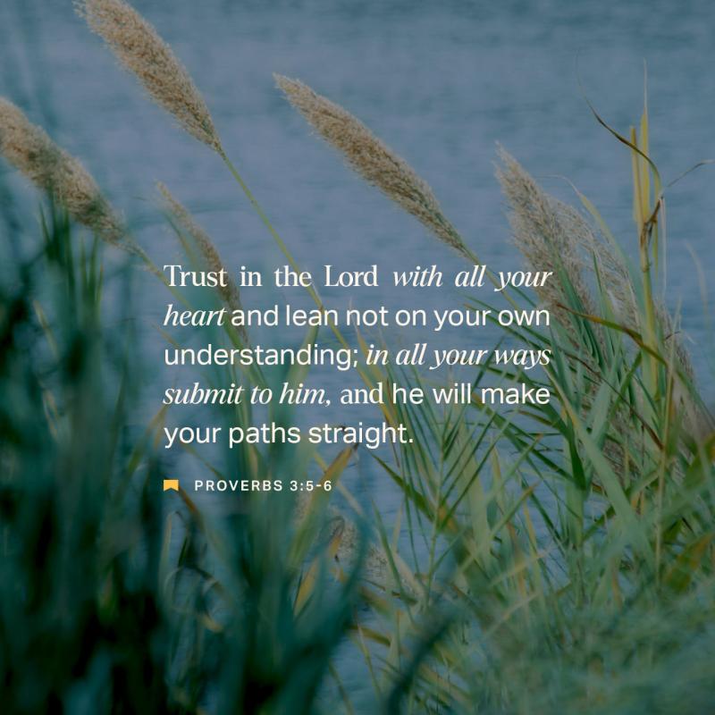 Robert Washington on LinkedIn: Proverbs 3:5-6 Trust in the LORD with ...