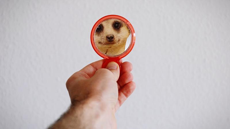 Ankita Chaudhry on LinkedIn: Working with People Who Aren t Self Aware Ankita Chaudhry on LinkedIn: Working with People Who Aren t Self Aware