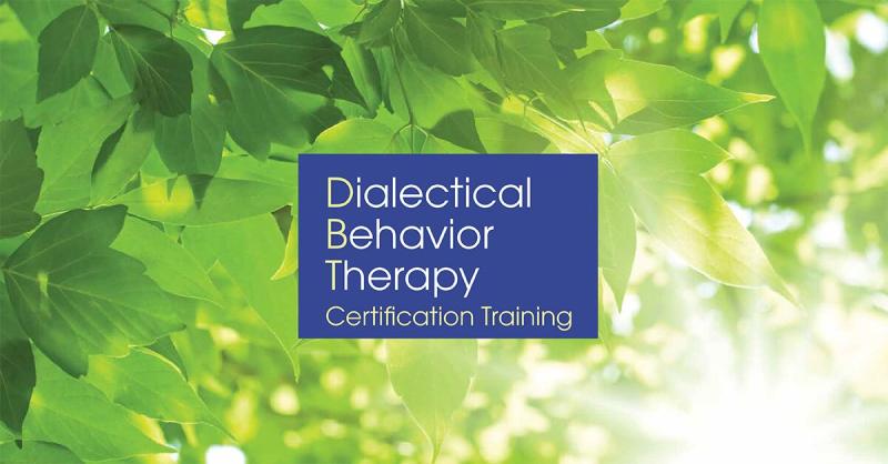 Michael A Hartman LMHC C DBT on LinkedIn: 3 Day: Dialectical Michael A Hartman LMHC C DBT on LinkedIn: 3 Day: Dialectical