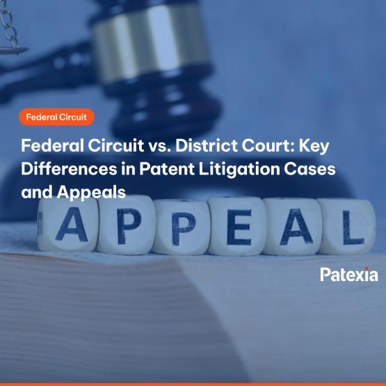 Patent Litigation: Federal Circuit vs District Court Mikele Bicolli Patent Litigation: Federal Circuit vs District Court Mikele Bicolli