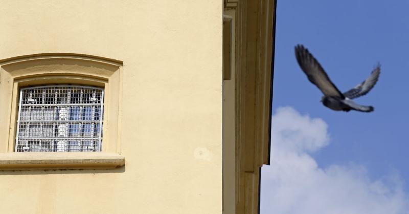 Maßnahmenvollzug: Zu einem Geburtstag Markus Drechsler Maßnahmenvollzug: Zu einem Geburtstag Markus Drechsler