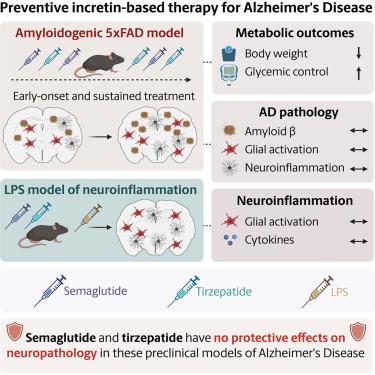 semaglutide biomarkers alzheimer GLP-1 Fails to Slow Alzheimer's Despite Biomarker Changes semaglutide biomarkers alzheimer Therapeutic Potential