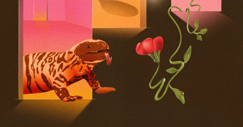 lizard venom glp-1 Ozempic Literally Came From a Monster And It's Not Alone : ScienceAlert Gila monster venom and weight