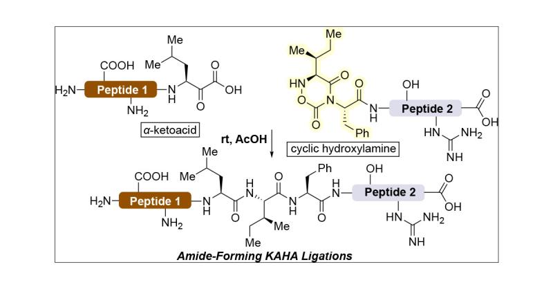 tirzepatide synthesis Tirzepatide: A novel cardiovascular protective agent in type 2 diabetes mellitus and obesity Kilogram-Scale GMP Manufacture of Tirzepatide