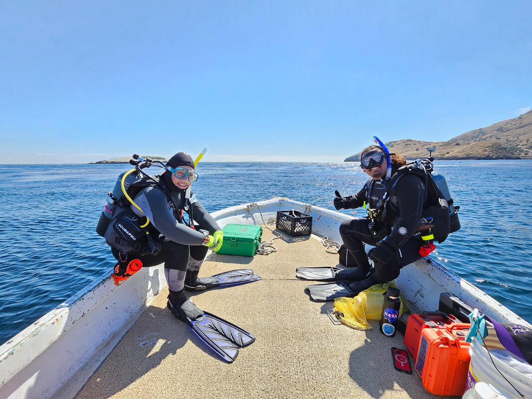 Deepwater Conservation Initiative on LinkedIn: AAUS Scientific Diver Deepwater Conservation Initiative on LinkedIn: AAUS Scientific Diver