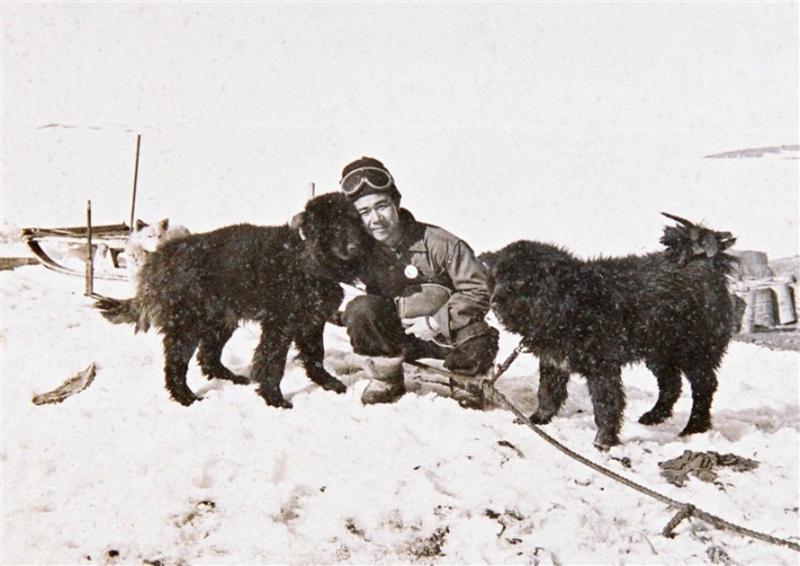 タロ・ジロと生きた第3の犬追う 誰も知らない「南極物語」出版 タロ・ジロと生きた第3の犬追う 誰も知らない「南極物語」出版