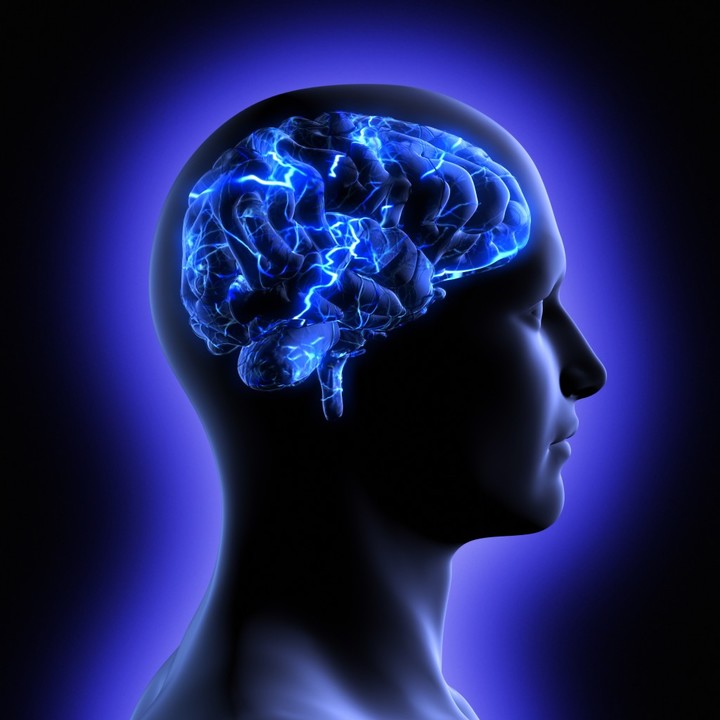 l carnitine and ms L-Carnitine in Mitochondria Carnitine propionyl ester acetyl l carnitine and ms