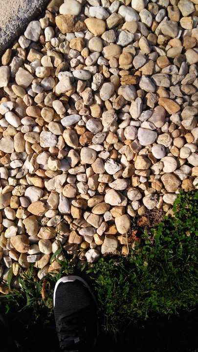 Expressive Writing Expressive Writing