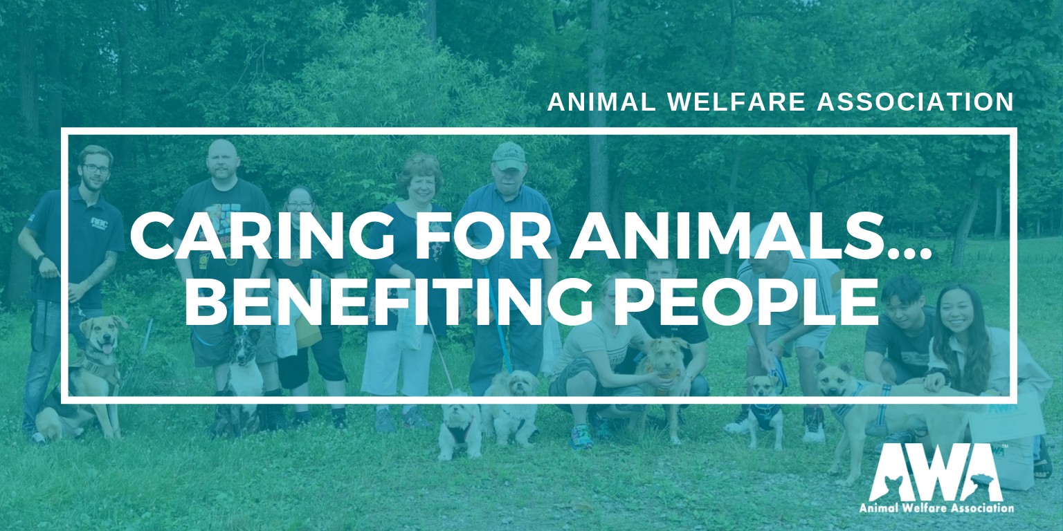 Animal Welfare Association LinkedIn Animal Welfare Association LinkedIn