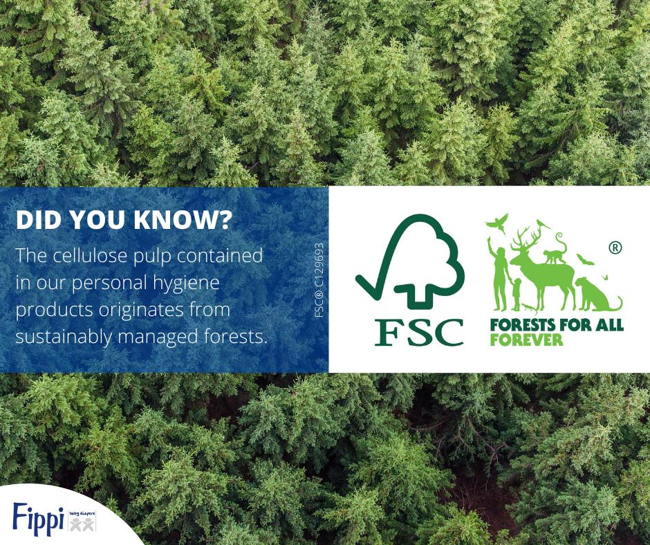 #fscfriday #fippi #certification #reforestation #environment FIPPI #fscfriday #fippi #certification #reforestation #environment FIPPI