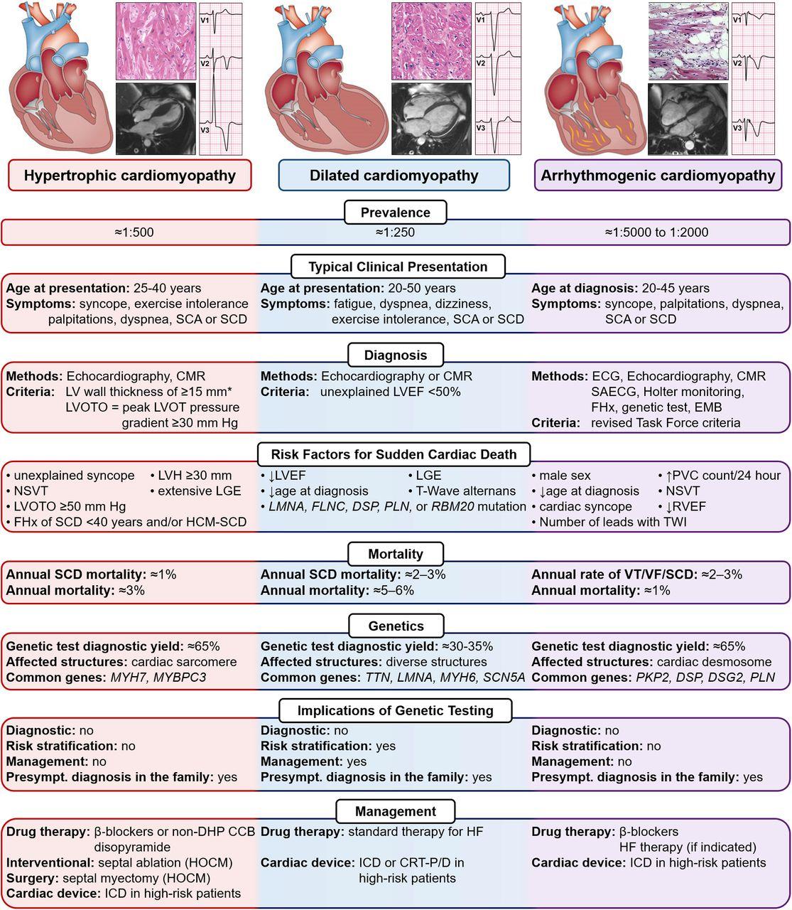 Julia Grapsa on LinkedIn: #jacccasereports 10 comments Julia Grapsa on LinkedIn: #jacccasereports 10 comments