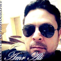 Amr Esmael
