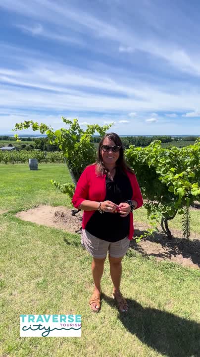 Traverse City Meetings on LinkedIn: #throwbackthursday Traverse City Meetings on LinkedIn: #throwbackthursday