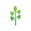 Women's Health Arizona logo