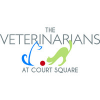 The Veterinarians at Court Square LinkedIn The Veterinarians at Court Square LinkedIn
