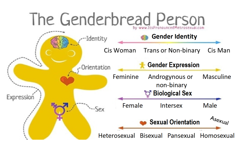 Trans INSIGHT #6: The Genderbread Person (Part 2) Trans INSIGHT #6: The Genderbread Person (Part 2)