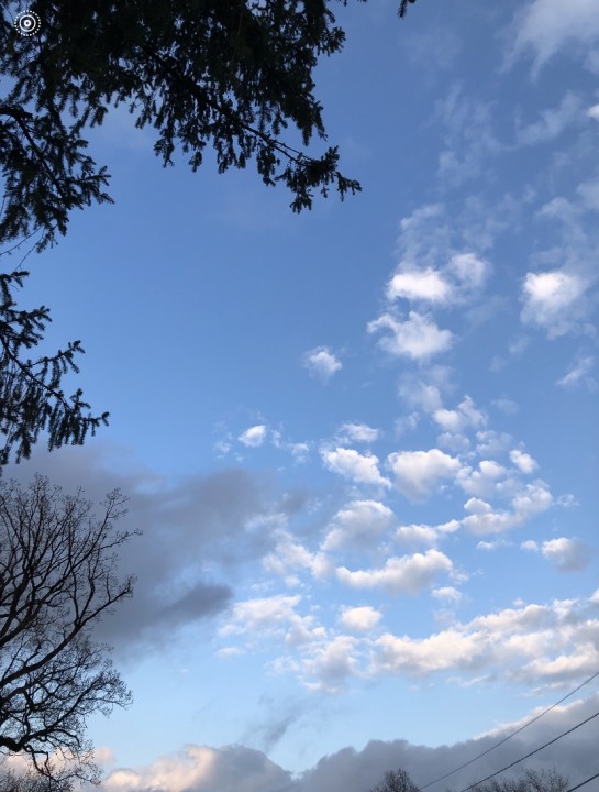 Take the Next Step Forward Take the Next Step Forward