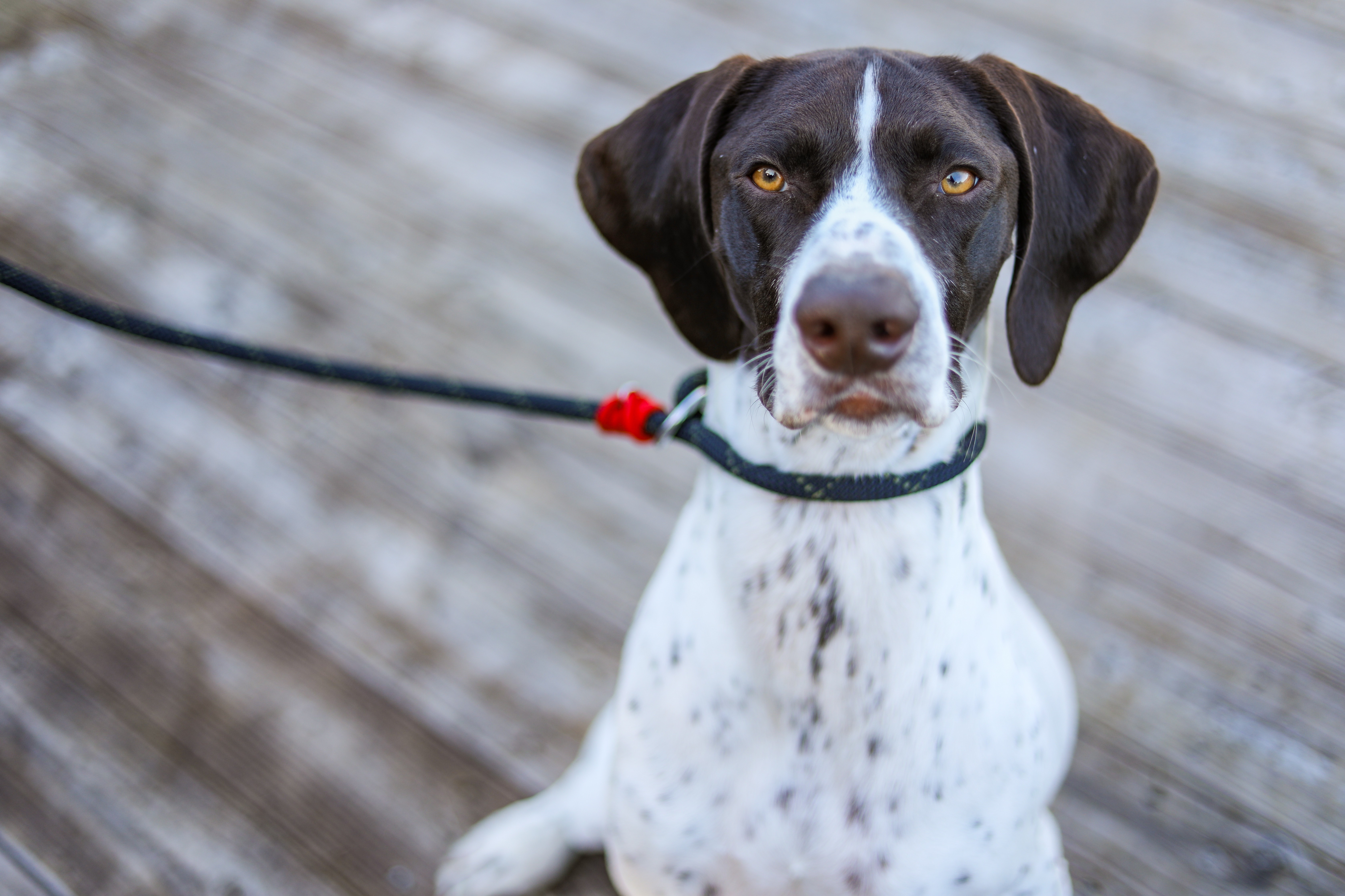 Humane Innovations LinkedIn Humane Innovations LinkedIn