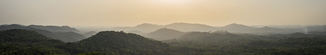 Tech Zero LinkedIn Tech Zero LinkedIn