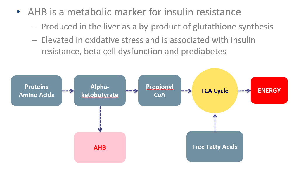 Alpha-hydroxybutyrate and Prediabetes: Thinking beyond glucose and HgbA1c
