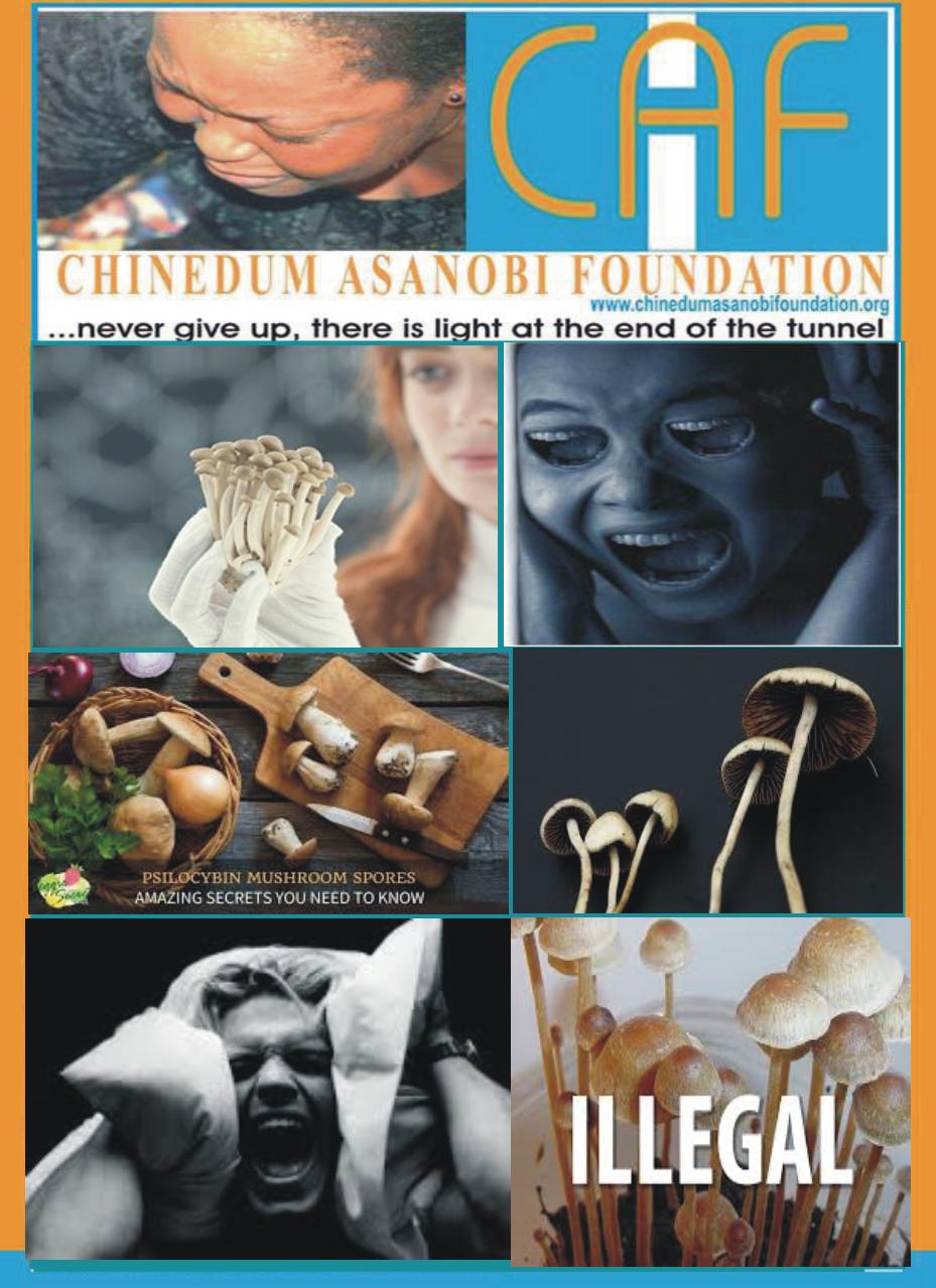 ChinedumAsanobi Foundation on LinkedIn: Psilocybin mushroom contains ChinedumAsanobi Foundation on LinkedIn: Psilocybin mushroom contains