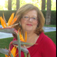 Cynthia Cox headshot