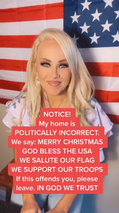 I Say Merry Christmas God Bless America - Politically Incore I Say Merry Christmas God Bless America - Politically Incore