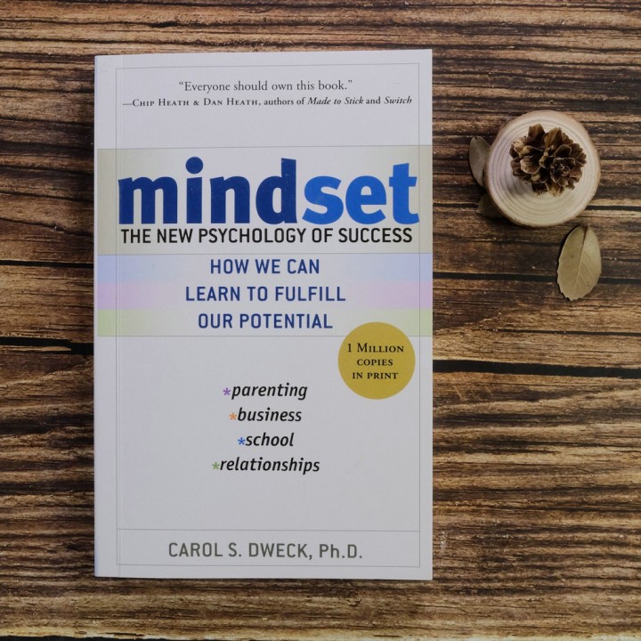 Mindset- The Psychology of Success Mindset- The Psychology of Success