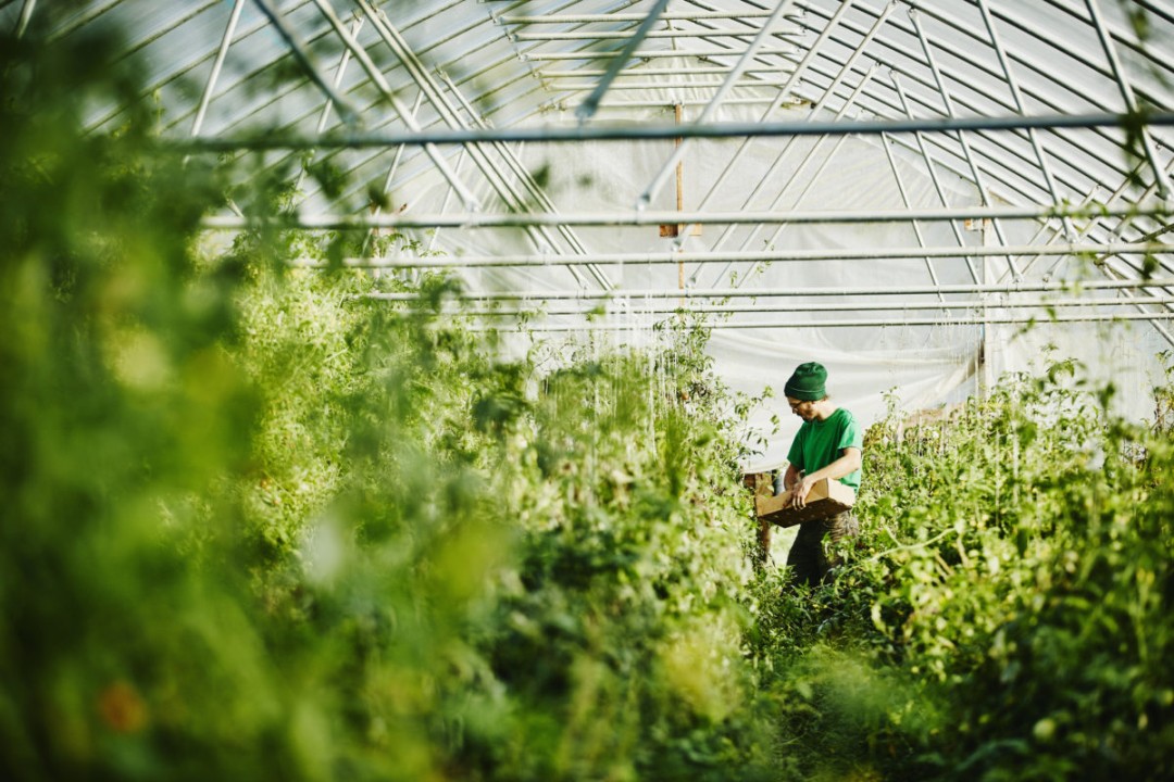 Closing the development gap through the establishment of agriculture Closing the development gap through the establishment of agriculture