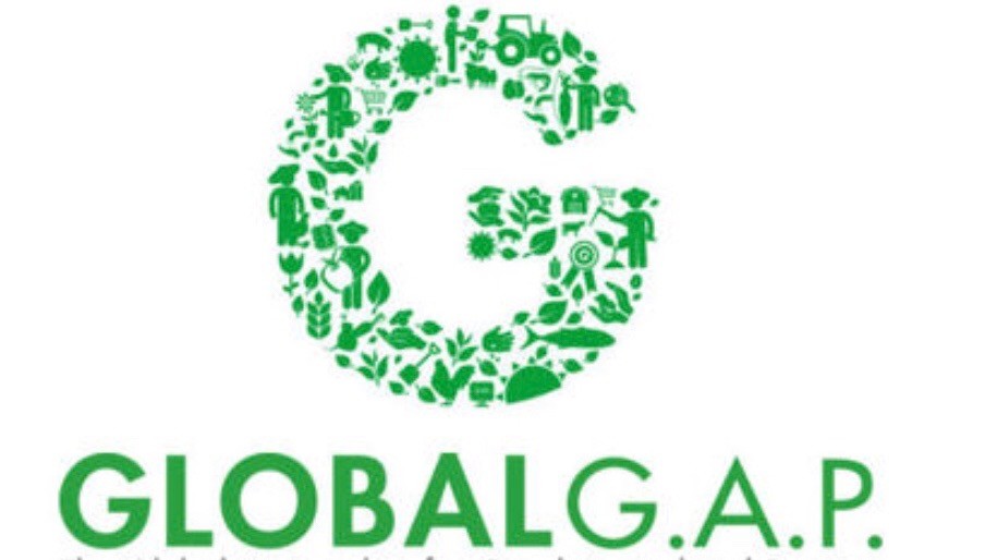 tobacco gap certification Farmer Newsletter Tobacco Good Agricultural Practices Training
