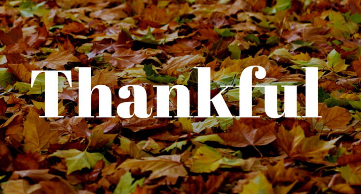 Thankful Thankful