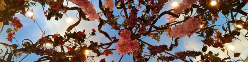 Le Fisher Accounting Clerk III Yavapai County Superior Court LinkedIn Le Fisher Accounting Clerk III Yavapai County Superior Court LinkedIn