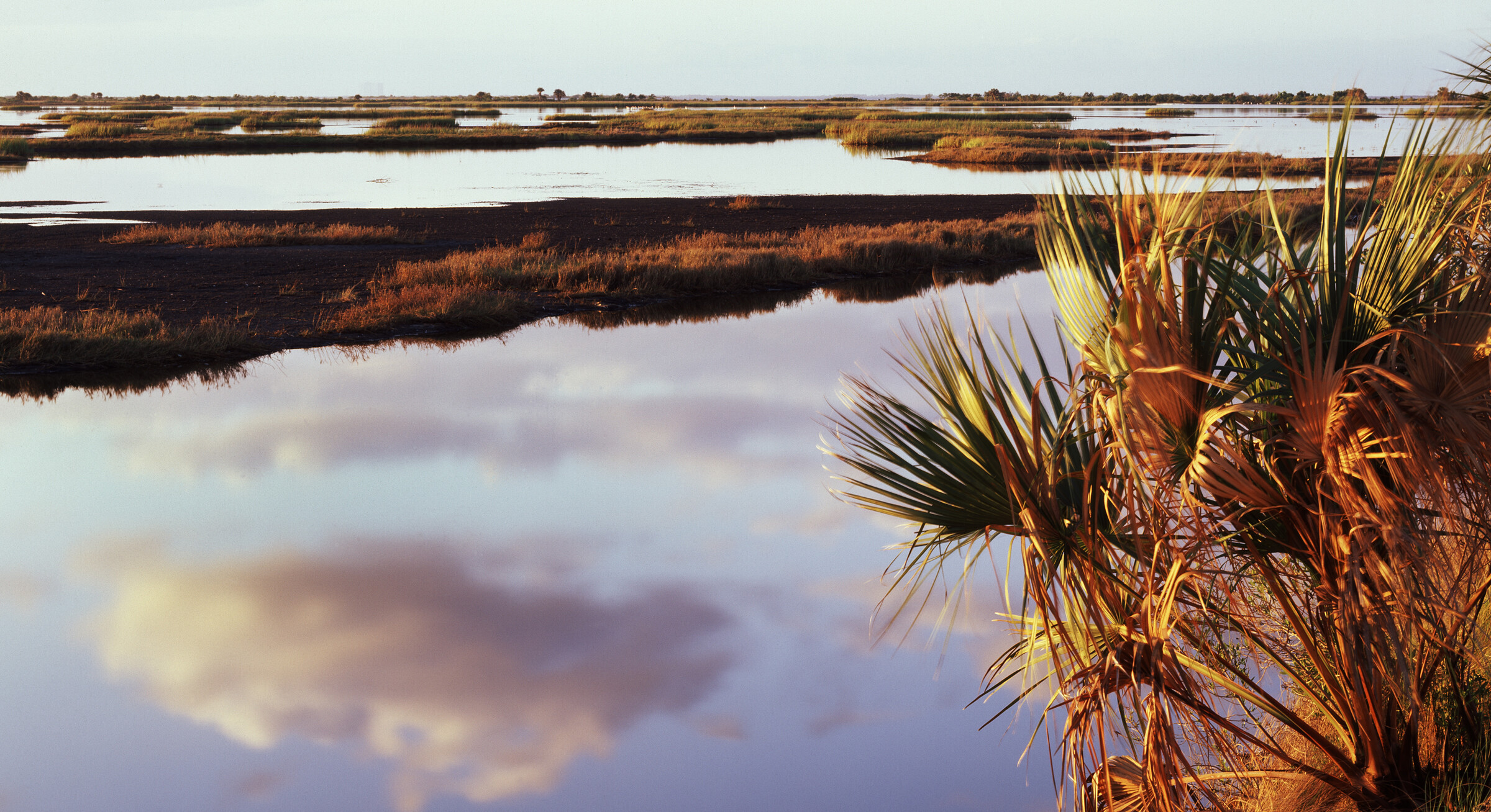 Sawgrass Asset Management LLC LinkedIn Sawgrass Asset Management LLC LinkedIn
