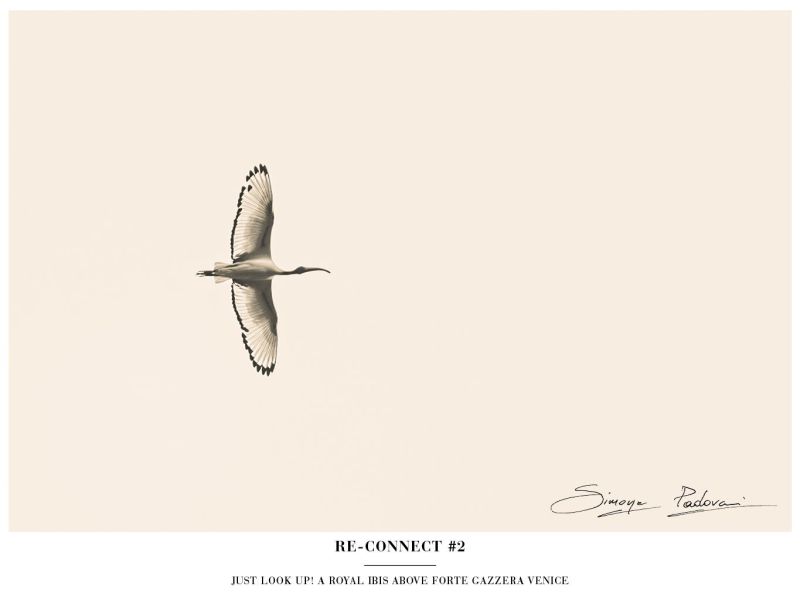 #newproject #reconnect #natureatwork #lookup #reconnect #seetheworld #newproject #reconnect #natureatwork #lookup #reconnect #seetheworld