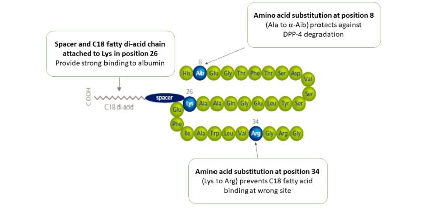 semaglutide fermentation process Semaglutide-Mediated Remodeling of Adipose Tissue in Type 2 Diabetes: Molecular Mechanisms Beyond Glycemic Control GLP-1 , has been the