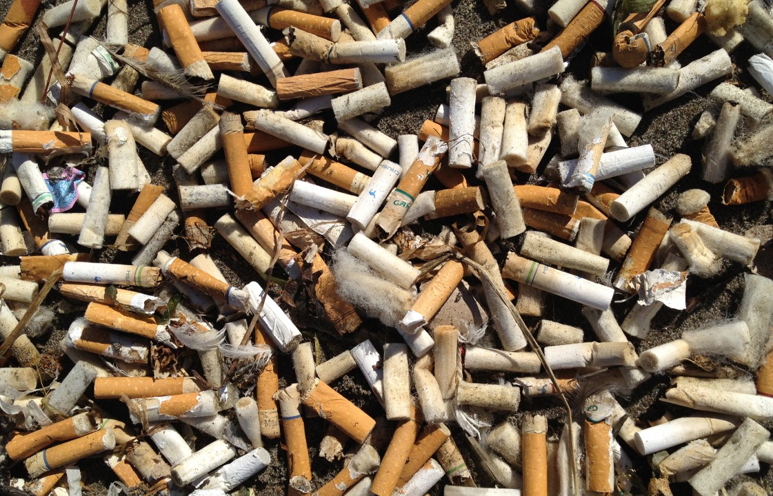 cigarette smoking effects on environment and the for Concessioners (U.S. National Park Service) Smoking and Its Threat to