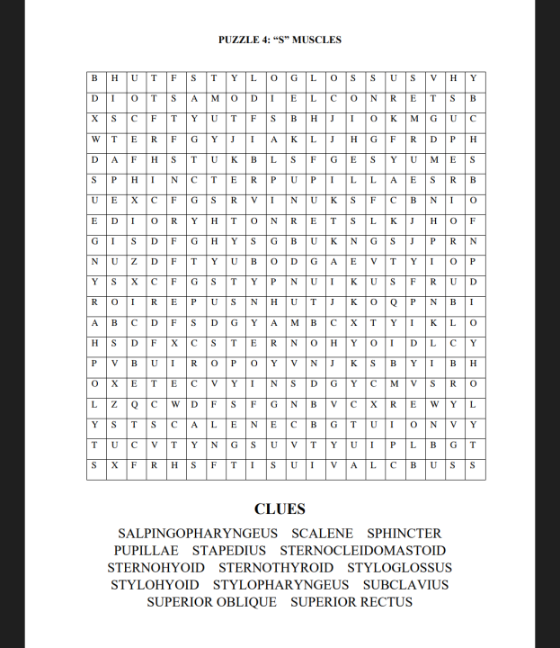 Puzzle 4 Anatomy quot S quot Muscles Puzzle 4 Anatomy quot S quot Muscles