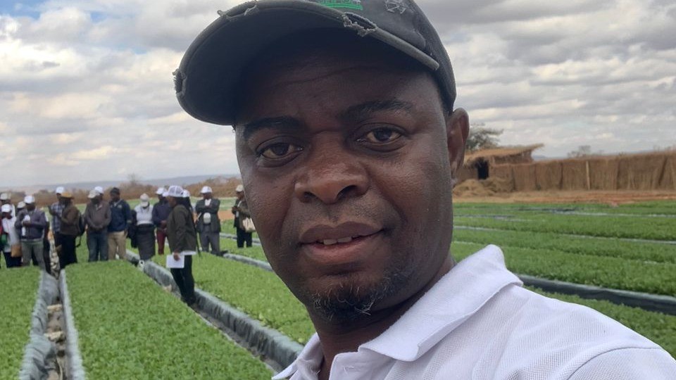 zimbabwe tobacco production 2024 Zimbabwe's boom hits record highs as Chinese-backed smallholders reshape Africa's biggest producer Preparing for the 2024/25 Tobacco